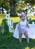 Dalas One Year