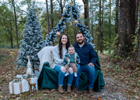 Steele Family Christmas Mini 2025