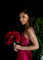 Lauren B. NJHS Prom