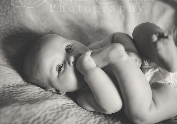 1481 B&W
