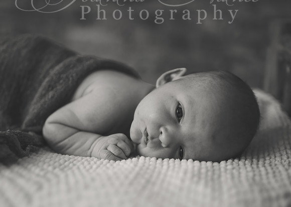 1261 B&W-standard