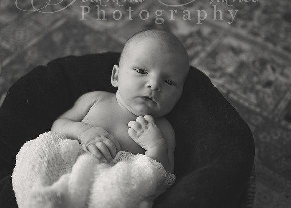 1310 B&W-standard - Copy