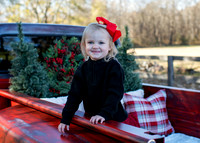Erica Christmas Mini 2023