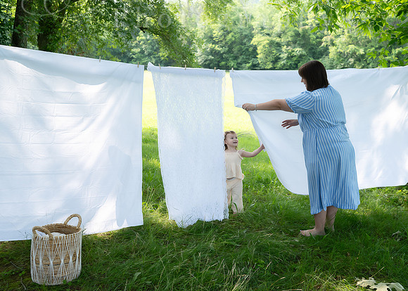 8204